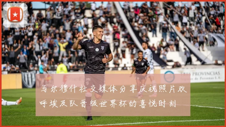 马尔穆什社交媒体分享庆祝照片欢呼埃及队晋级世界杯的喜悦时刻