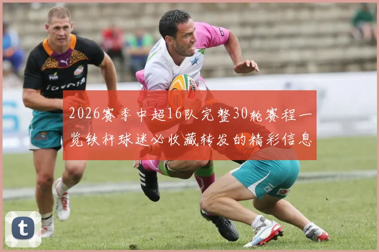 2026赛季中超16队完整30轮赛程一览铁杆球迷必收藏转发的精彩信息